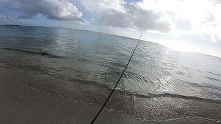 Trou aux Biches — легкий способ на тревалли: морская рыбалка в прибое