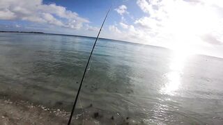 Trou aux Biches — легкий способ на тревалли: морская рыбалка в прибое