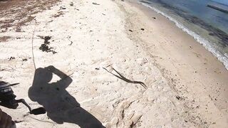 Trou aux Biches — легкий способ на тревалли: морская рыбалка в прибое