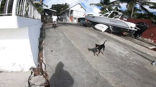 Trou aux Biches — легкий способ на тревалли: морская рыбалка в прибое