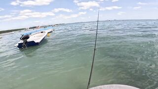 Мон Шуази: прилив поднимается — береговая рыбалка оживает?