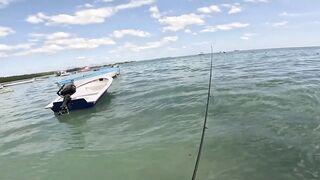 Мон Шуази: прилив поднимается — береговая рыбалка оживает?