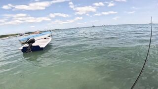 Мон Шуази: прилив поднимается — береговая рыбалка оживает?