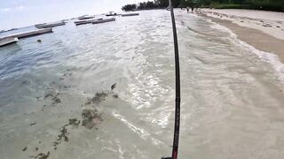 Мон Шуази: прилив поднимается — береговая рыбалка оживает?