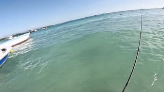 Мон Шуази: прилив поднимается — береговая рыбалка оживает?