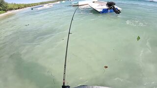 Мон Шуази: прилив поднимается — береговая рыбалка оживает?