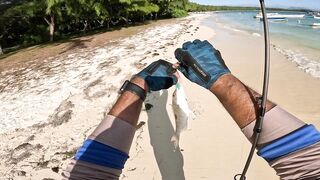 Мон Шуази: прилив поднимается — береговая рыбалка оживает?