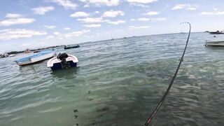 Мон Шуази: прилив поднимается — береговая рыбалка оживает?