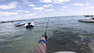 Мон Шуази: прилив поднимается — береговая рыбалка оживает?