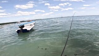 Мон Шуази: прилив поднимается — береговая рыбалка оживает?