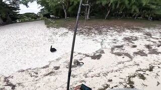 Мон Шуази: прилив поднимается — береговая рыбалка оживает?