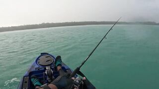 Мон Шуази — дропшот в лагуне: рабочая проводка с берега