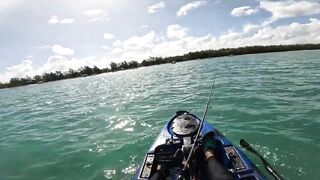 Мон Шуази — дропшот в лагуне: рабочая проводка с берега