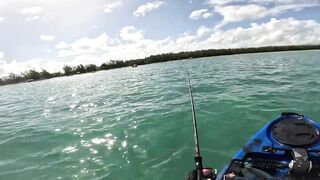 Мон Шуази — дропшот в лагуне: рабочая проводка с берега