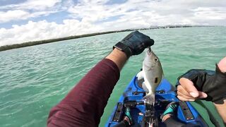 Мон Шуази — дропшот в лагуне: рабочая проводка с берега