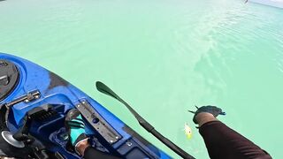 Мон Шуази — дропшот в лагуне: рабочая проводка с берега