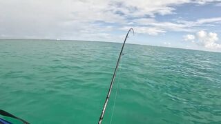 Мон Шуази — дропшот в лагуне: рабочая проводка с берега