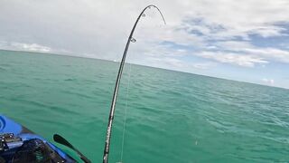 Мон Шуази — дропшот в лагуне: рабочая проводка с берега