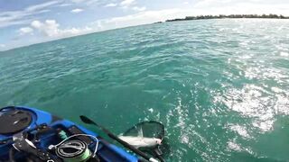 Мон Шуази — дропшот в лагуне: рабочая проводка с берега