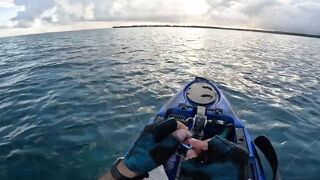 Мон Шуази — дропшот в лагуне: рабочая проводка с берега