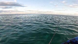 Мон Шуази — дропшот в лагуне: рабочая проводка с берега