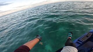 Мон Шуази — дропшот в лагуне: рабочая проводка с берега