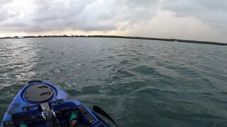 Мон Шуази — дропшот в лагуне: рабочая проводка с берега