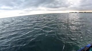 Мон Шуази — дропшот в лагуне: рабочая проводка с берега