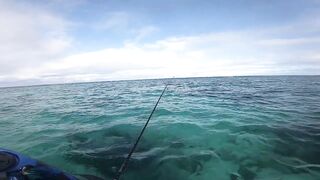 Мон Шуази — каяк и приманка: летняя рыбалка у пятен травы