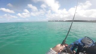 Мон Шуази — каяк и приманка: летняя рыбалка у пятен травы