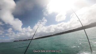 Мон Шуази — каяк и приманка: летняя рыбалка у пятен травы