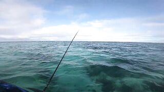 Мон Шуази — каяк и приманка: летняя рыбалка у пятен травы