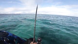 Мон Шуази — каяк и приманка: летняя рыбалка у пятен травы