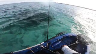 Мон Шуази — каяк и приманка: летняя рыбалка у пятен травы