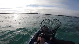 Мон Шуази — каяк и приманка: летняя рыбалка у пятен травы