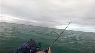 Мон Шуази — каяк и приманка: летняя рыбалка у пятен травы