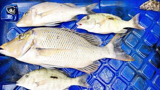 Мон Шуази — каяк и приманка: летняя рыбалка у пятен травы