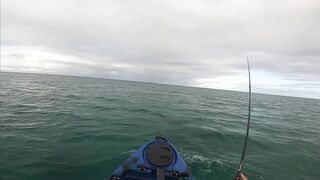 Мон Шуази — каяк и приманка: летняя рыбалка у пятен травы