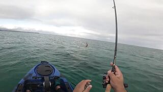 Мон Шуази — каяк и приманка: летняя рыбалка у пятен травы