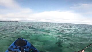 Мон Шуази — каяк и приманка: летняя рыбалка у пятен травы