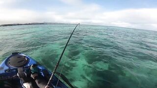 Мон Шуази — каяк и приманка: летняя рыбалка у пятен травы