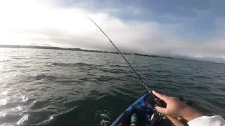 Мон Шуази — каяк и приманка: летняя рыбалка у пятен травы