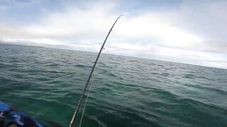 Мон Шуази — каяк и приманка: летняя рыбалка у пятен травы