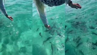 «Feeding banana» — рыбка у пирса охотно берет насадку, что это за вид?