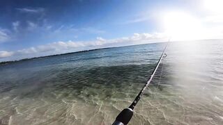 Belle Mare, Маврикий - рассветная рыбалка в тишине, шёпот прибоя