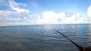 Belle Mare Plage — shore casting на рассвете: какой лидкор ставить?