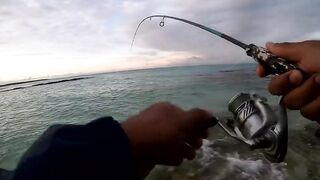 Belle Mare Plage — shore casting на рассвете: какой лидкор ставить?