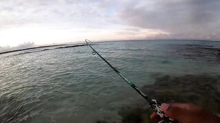 Belle Mare Plage — shore casting на рассвете: какой лидкор ставить?