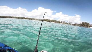 Маврикий, Belle Mare - дропшот с берега: эпизод 11, рабочие веса и проводки