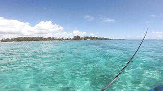 Маврикий, Belle Mare - дропшот с берега: эпизод 11, рабочие веса и проводки